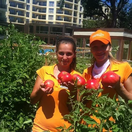 3- In Golden Line Апартаменти