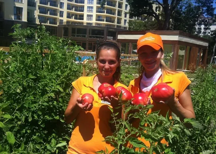 3- In Golden Line Apartament